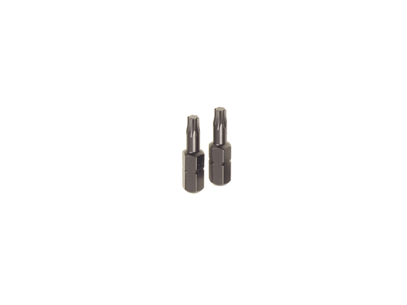 INSERTO TX10 MM.25 X2p