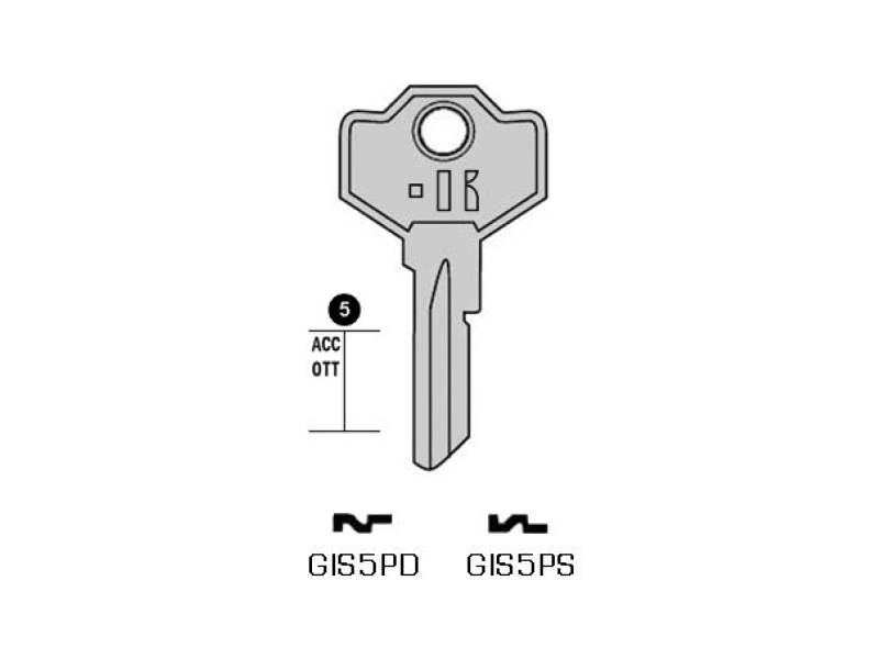 SM1-GIS5PS/K000 CHIAVE  (100)