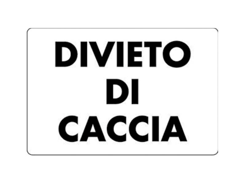 CARTELLO DIVIETO CACCIA 35x25 ALL*