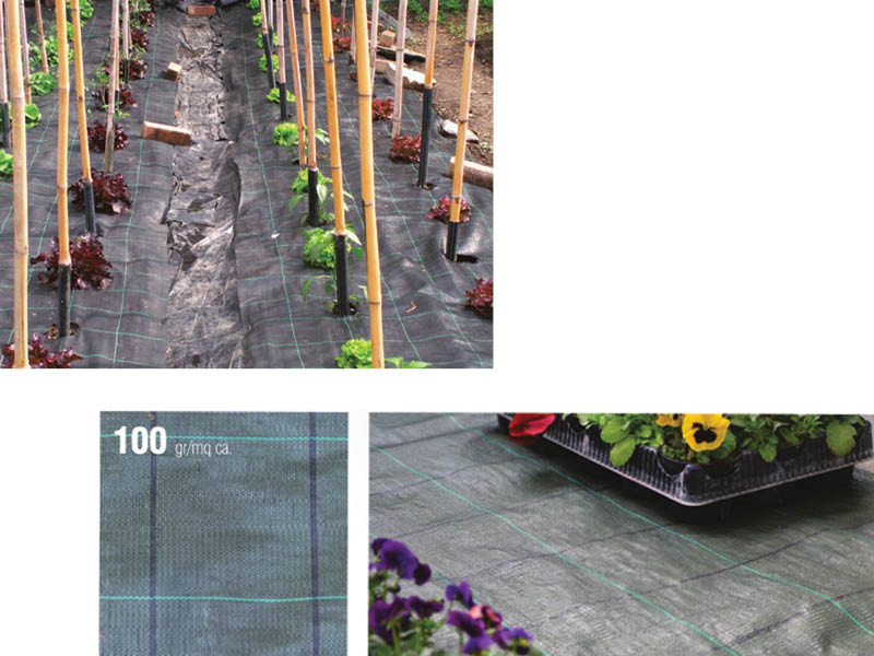 TELO PACCIAMATURA PP VERDE 1.05X100MT